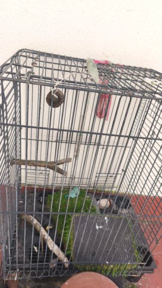 Jaula para pájaros negra
