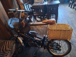 Bicicleta Plegable Boomerang