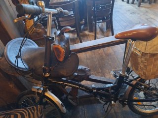 Bicicleta Plegable Boomerang