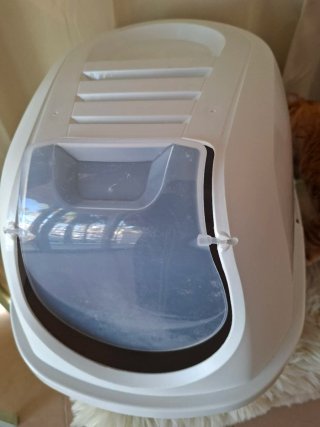 Box per lettiera per gatti chiuso