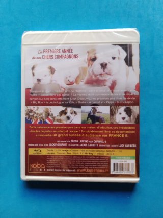 Lote DVDs filmes animação infantis