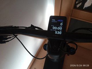 Bicicleta Eléctrica Scott Talla M Bosch
