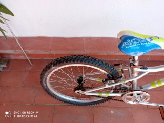 Bicicleta Monty