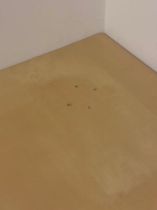 Escritorio Ikea 72x139 y Estantería