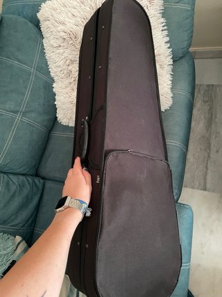Viola con estuche y arco