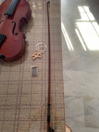Viola con estuche y arco