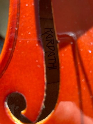 Viola con estuche y arco