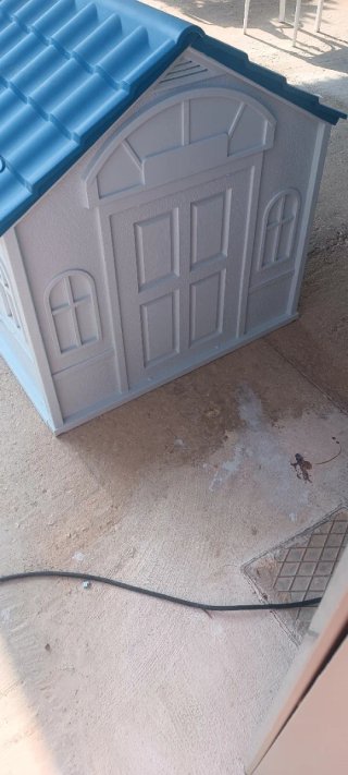 Caseta Perro Grande Azul y Blanca