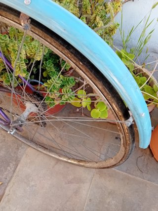 Bicicleta Vintage Morada y Azul