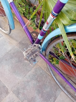 Bicicleta Vintage Morada y Azul