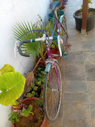 Bicicleta Vintage Morada y Azul
