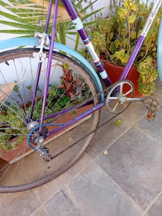 Bicicleta Vintage Morada y Azul