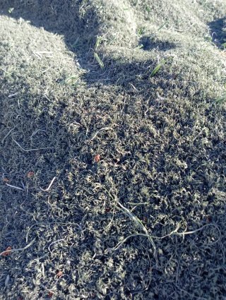 Césped reciclado