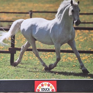 Puzzle Educa 500 piezas Caballo Blanco