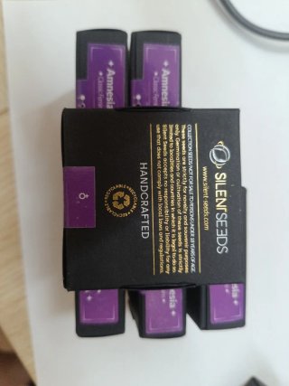 Semi da collezione Amnesia Lemon Original Amnesia