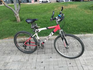 Bicicleta de Montaña GT Roja y Blanca talla l