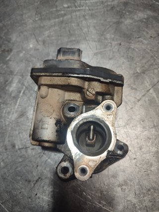 VALVULA EGR RENAULT CLIO III Exception | 04.07 -