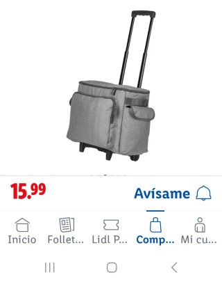 Bolso Trolley Gris