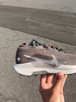 Nike Pegasus Trail 5 Gtx