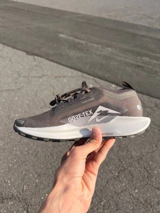 Nike Pegasus Trail 5 Gtx