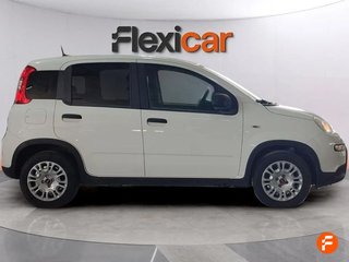 Fiat Panda Panda 1.0 Hybrid 51kW (70cv)