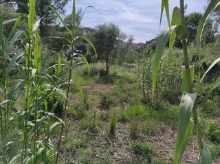 Solar en venta en Castellnou - Can Mir - Sant Muç en Rubí