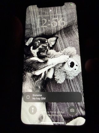 iPhone 11 Nero