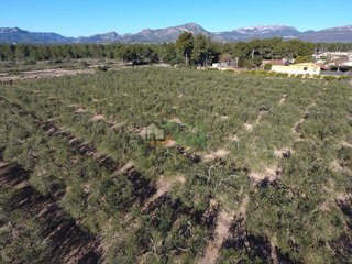 Masía en venta en Mont-Roig en Mont-Roig del Camp