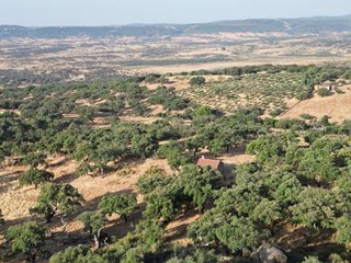 Masía en venta en San Vicente de Alcántara