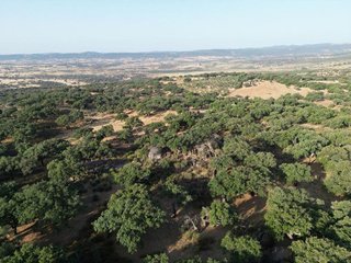 Masía en venta en San Vicente de Alcántara