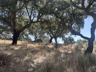 Masía en venta en San Vicente de Alcántara