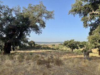 Masía en venta en San Vicente de Alcántara