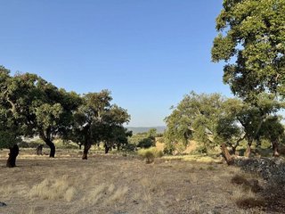 Masía en venta en San Vicente de Alcántara