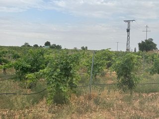 Chalet en venta en Daimiel