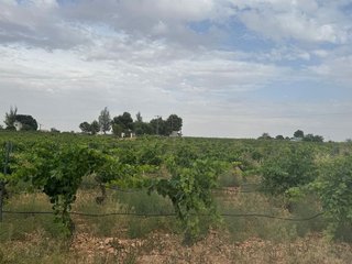 Chalet en venta en Daimiel