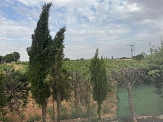 Chalet en venta en Daimiel