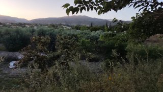 Terreno