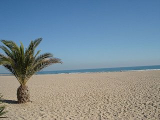 Local comercial en venta en Centro Puerto en Sagunto