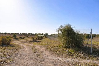 Terreno en venta en Torrecastillo en Seseña