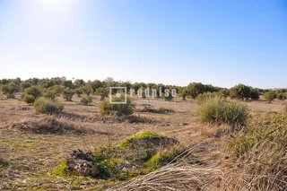 Terreno en venta en Torrecastillo en Seseña