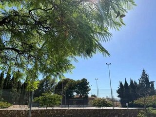 Piso en venta en Teatinos en Málaga