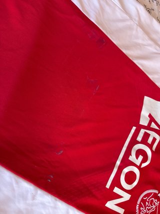 Camiseta retro Ajax 2010/11