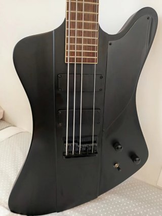 Bajo Eléctrico 5 cuerdas [x1]