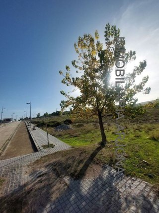 Solar en venta en Lucena