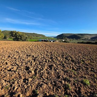Terreno en venta en Arcos de la Frontera