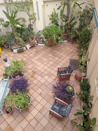 Piso en venta en Playa de Levante en Benidorm