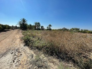 Solar en venta en Crevillent