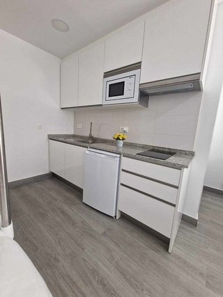 Estudio en alquiler en Cerrado Calderón - El Morlaco en Málaga