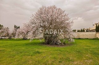 Terreno en venta en Úbeda