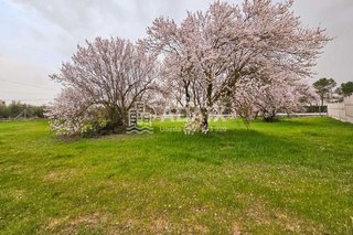 Terreno en venta en Úbeda